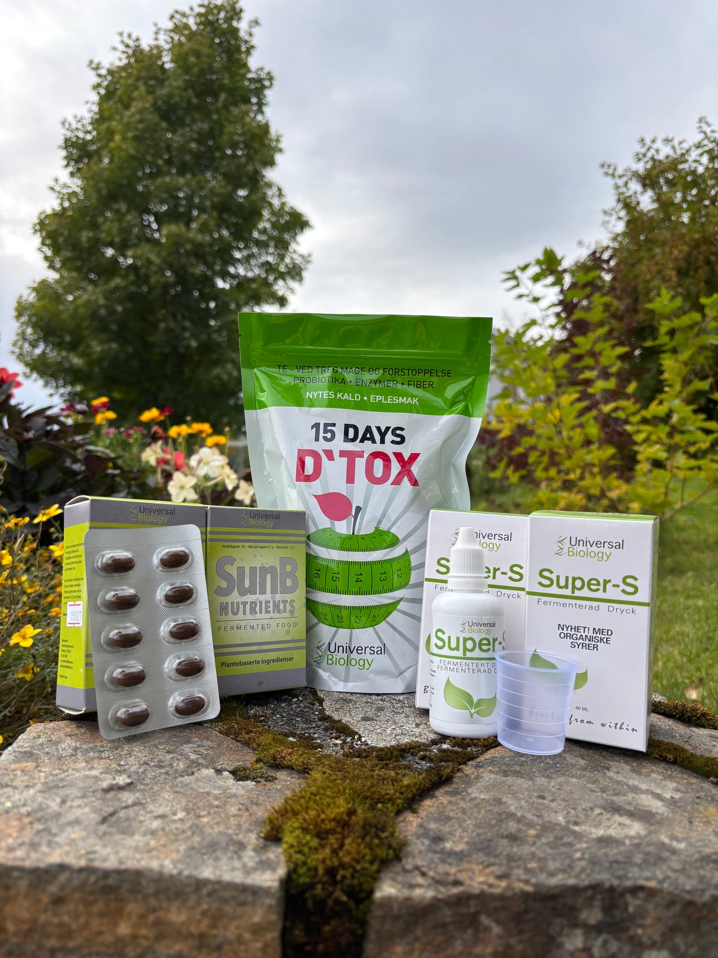 Full DeTox Protokoll