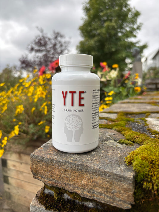 YTE Brain Power
